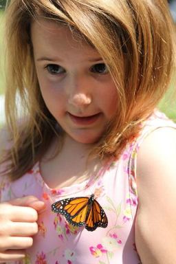 7th Annual Butterfly Release and Memorial Service