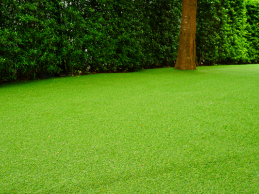 Your backyard is more than just a patch of grass —