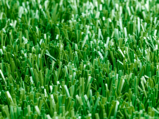 Watering restrictions, scorching heat, and the