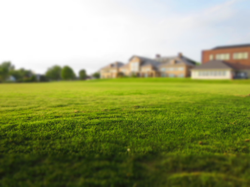 If you’re tired of worrying about your lawn during