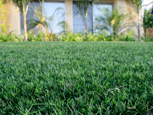 Transforming your garden into a luxurious summer