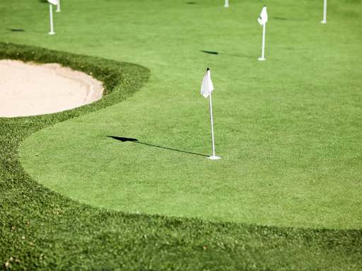 Lone Star Synthetic Turf