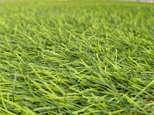 Lone Star Synthetic Turf