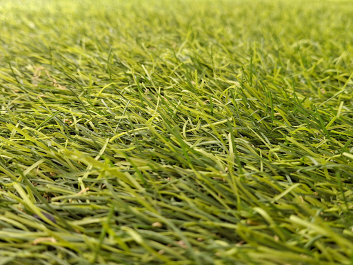 Lonestar Synthetic Turf