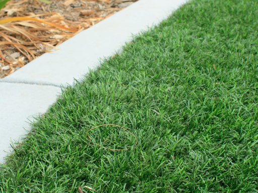 Lonestar Synthetic Turf