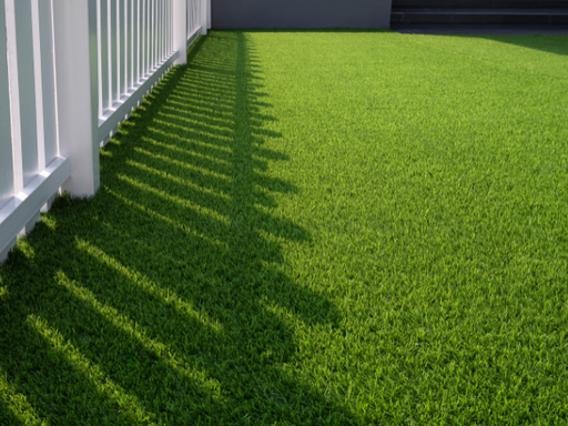 Lonestar Synthetic Turf