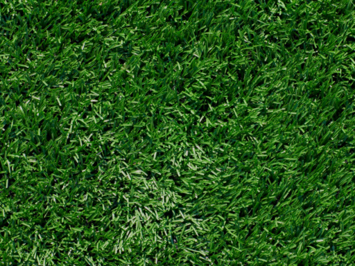 Lone Star Synthetic Turf