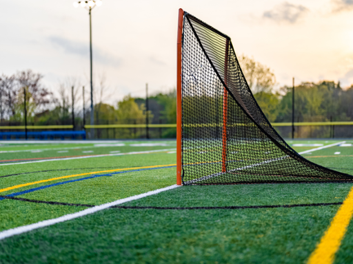 Lone Star Synthetic Turf