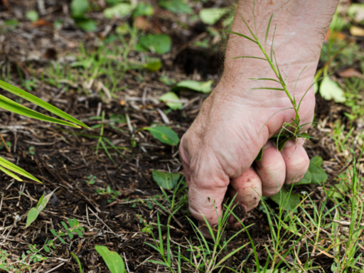 Winter might seem like downtime for lawn-care but