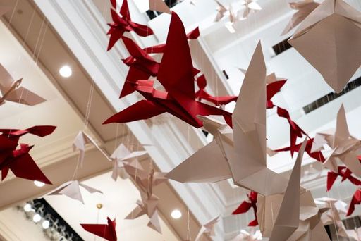 SOAR at St. Andrew